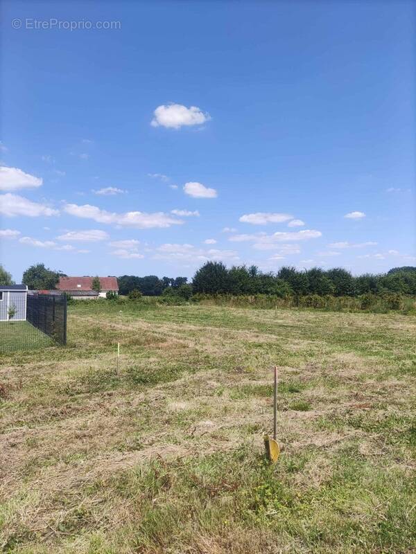 Terrain à FREVILLE