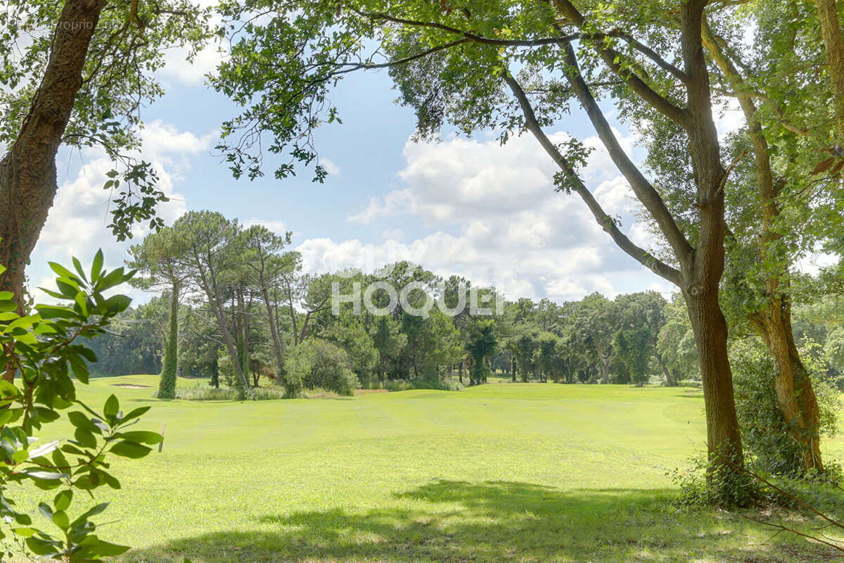 Appartement à MOLIETS-ET-MAA