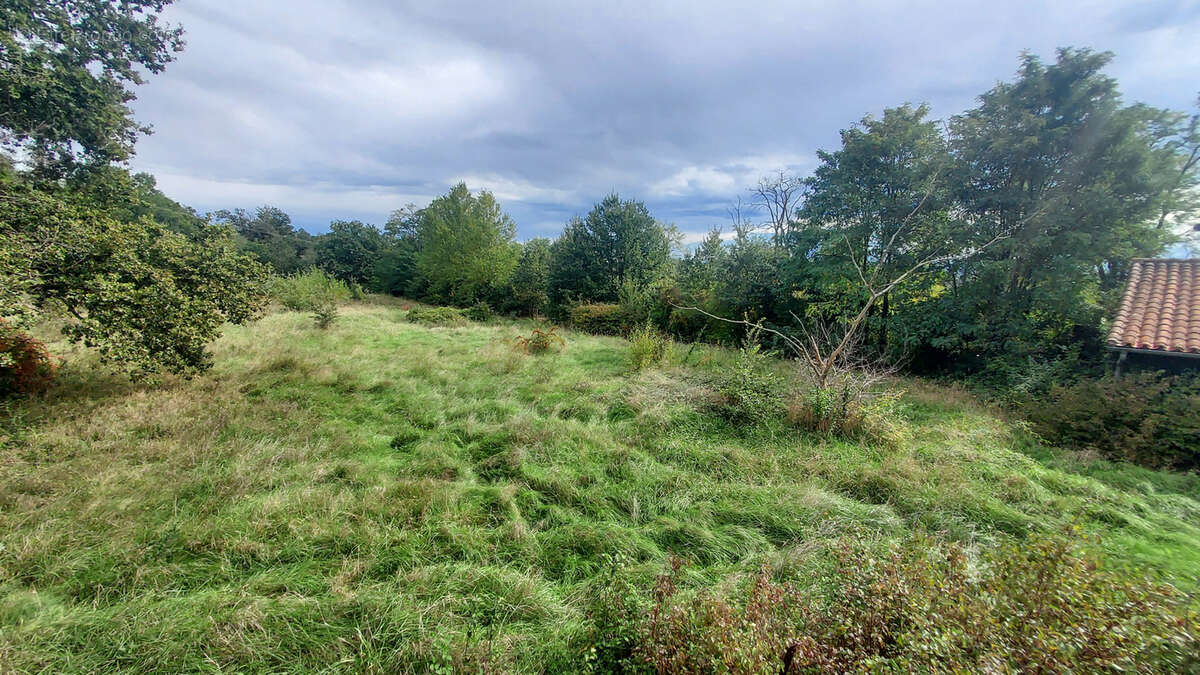 Maison à CINTEGABELLE