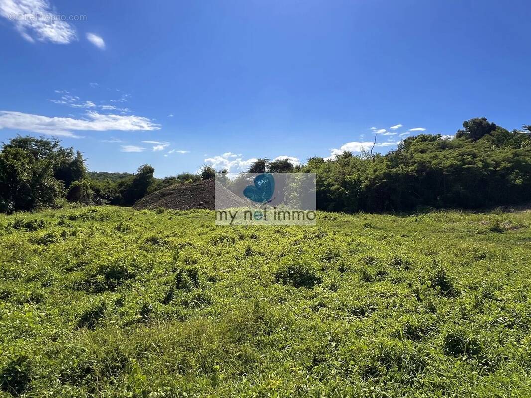 Terrain à LE GOSIER