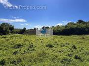 Terrain à LE GOSIER