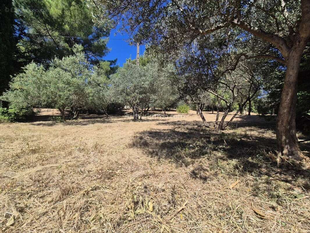 Terrain à DRAGUIGNAN