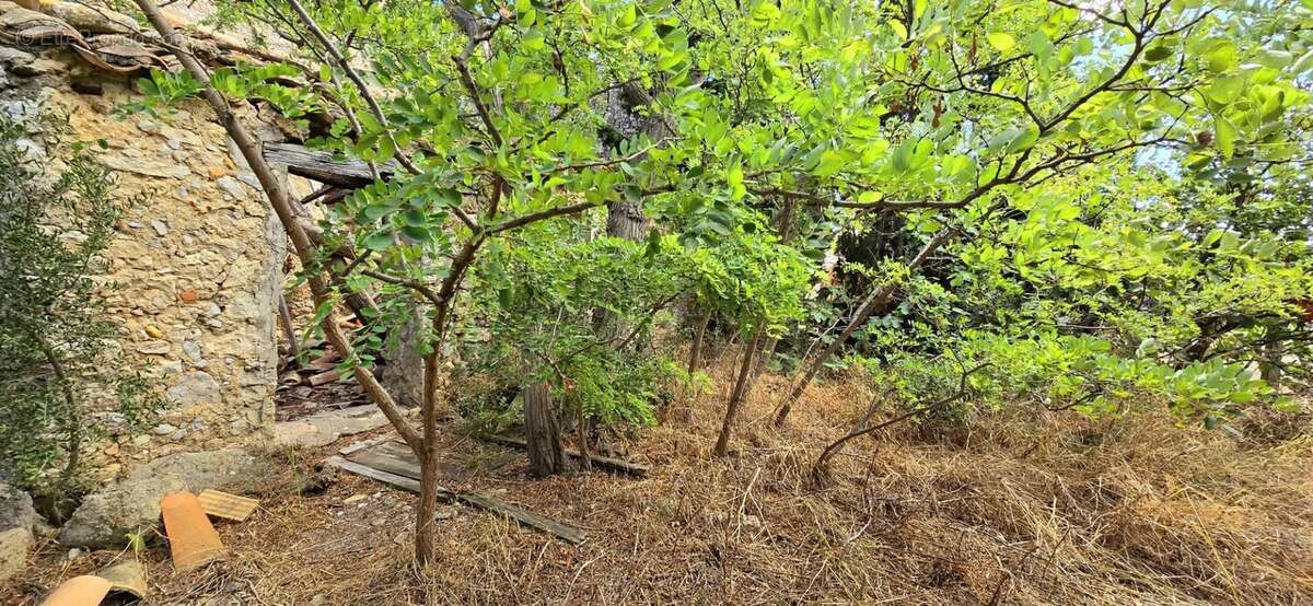 Commerce à LA PALME