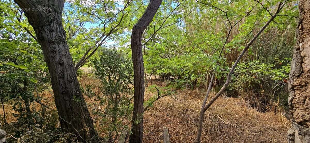 Commerce à LA PALME