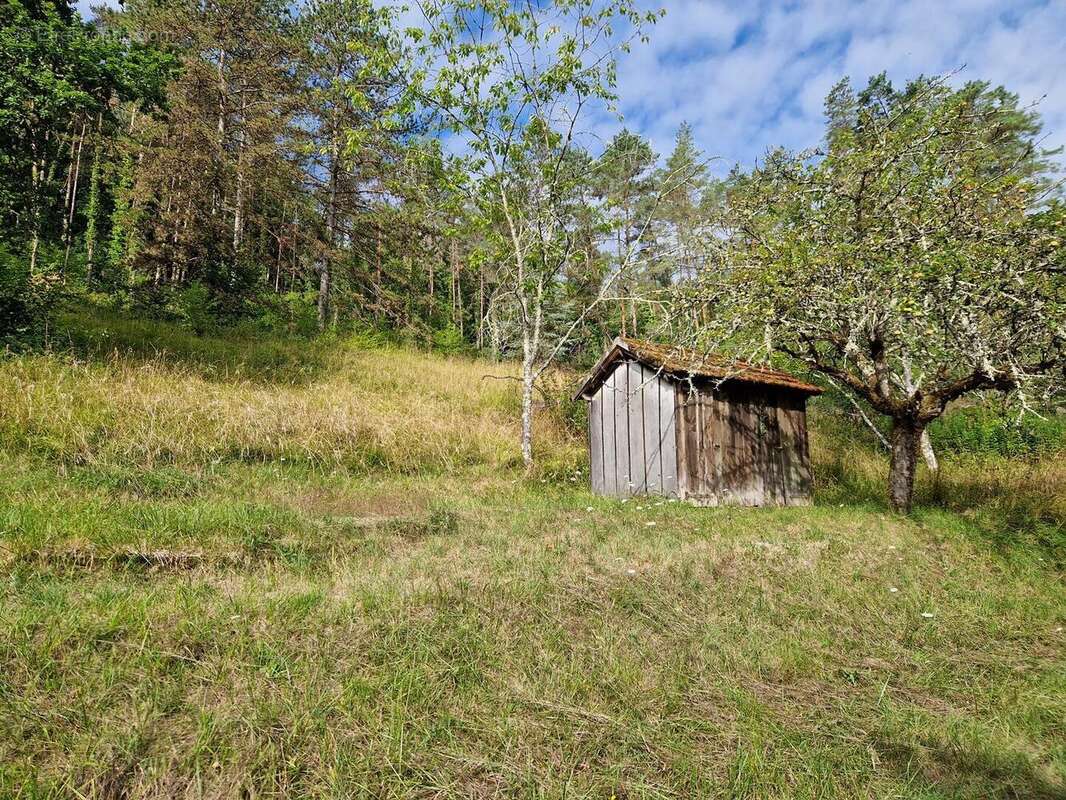 20250730101530 - Maison à ROUFFIGNAC-SAINT-CERNIN-DE-REILHAC