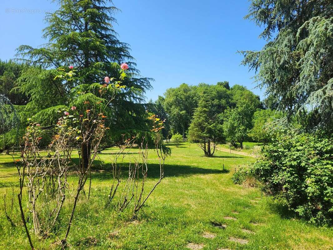 20250619120722 - Maison à TAMNIES