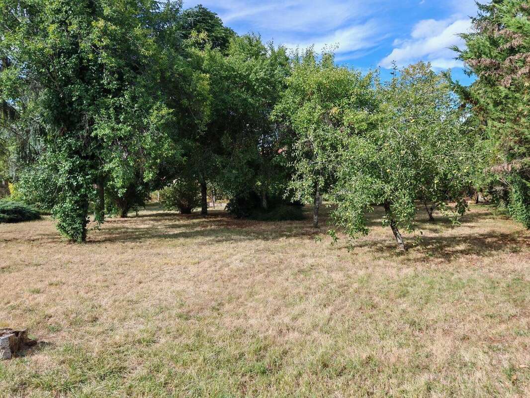 IMG20250722175548 - Maison à SAVIGNAC-LES-EGLISES