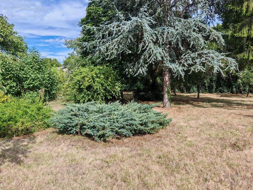 IMG20250722175619 - Maison à SAVIGNAC-LES-EGLISES