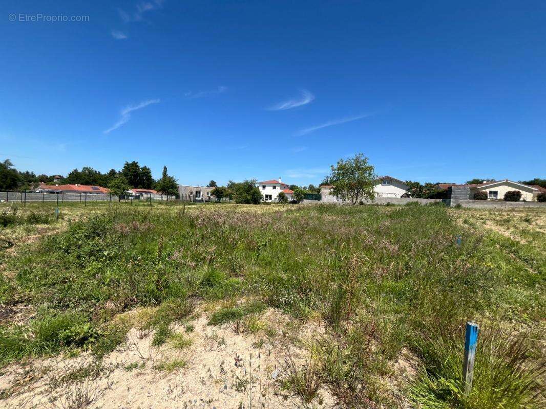 Terrain à PONCINS