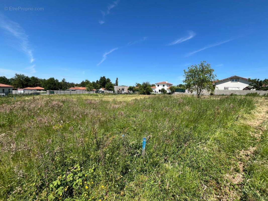 Terrain à PONCINS