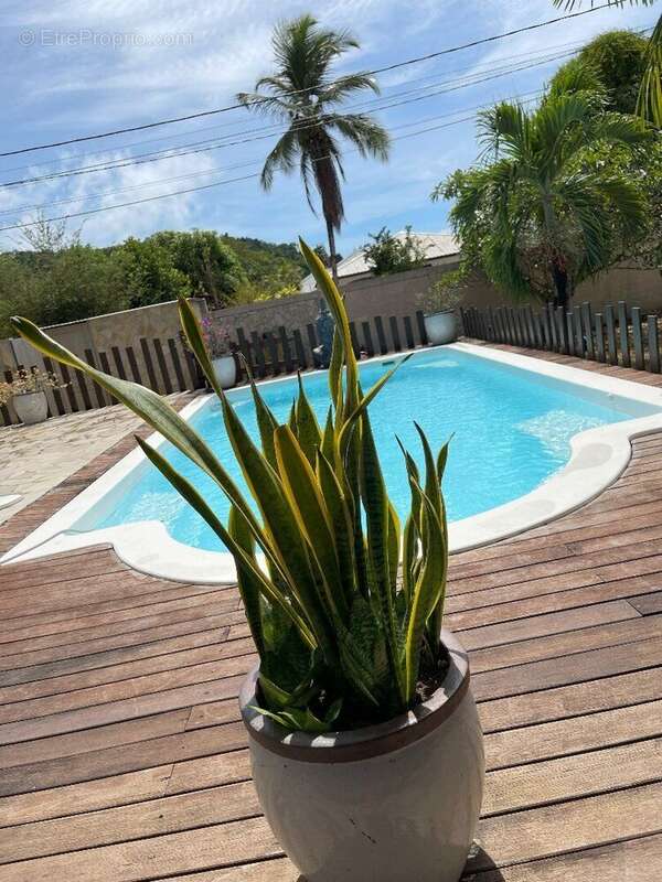 Photo 4 - Maison à CAYENNE