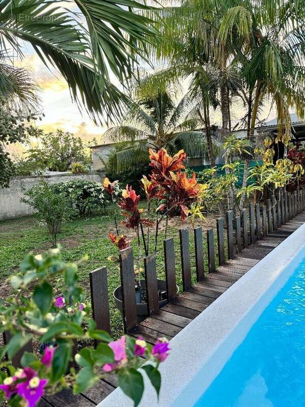 Photo 8 - Maison à CAYENNE