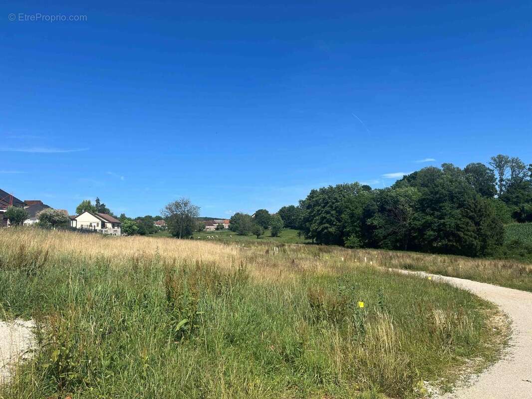 Terrain à FLEUREY-LES-FAVERNEY