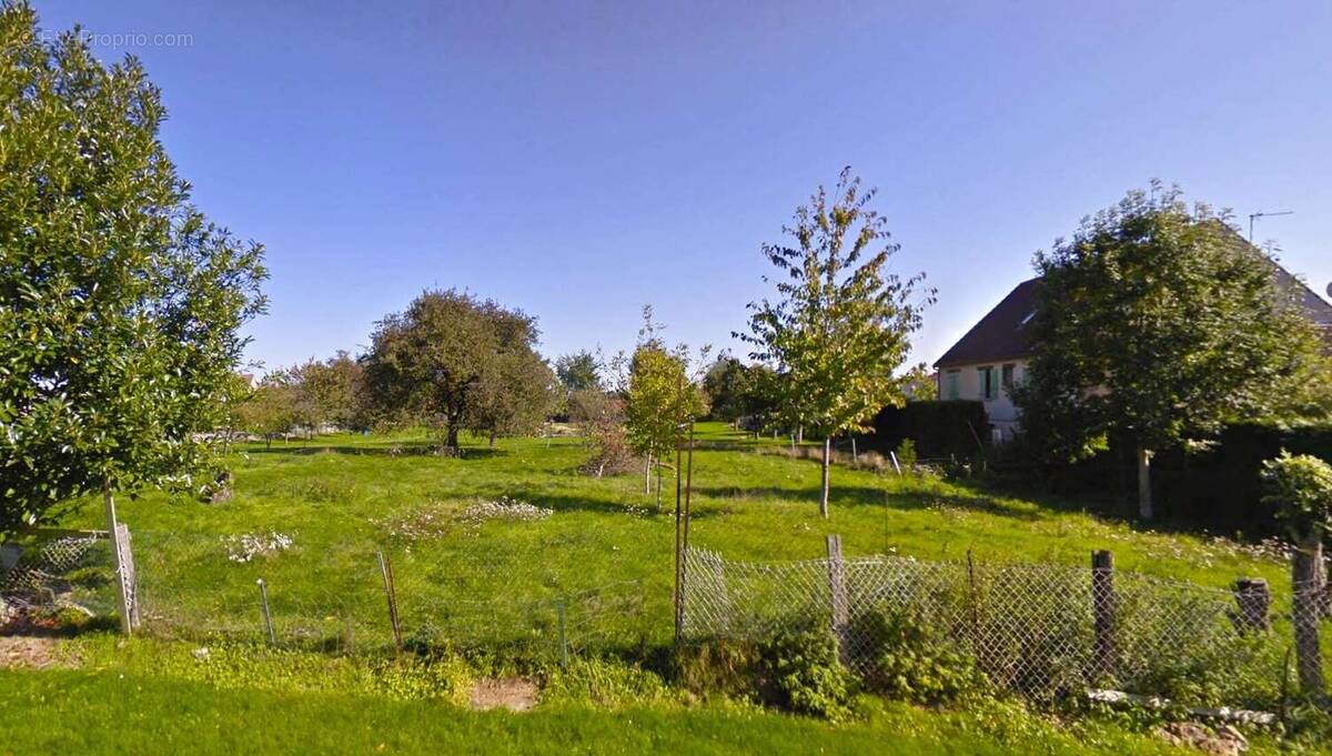 Terrain à LA FORESTIERE