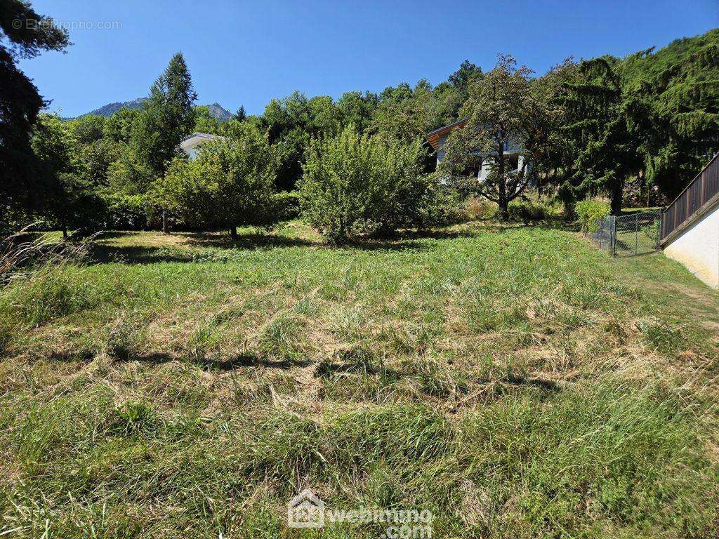 A découvrir sans tarder ! - Terrain à MERCURY