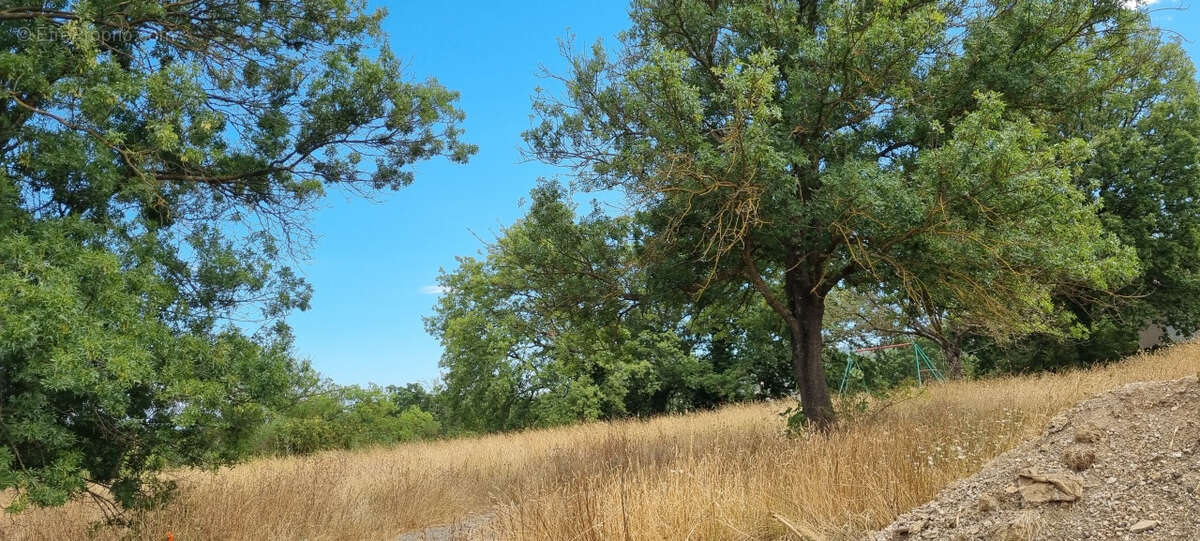 Terrain à ROQUEBRUNE-SUR-ARGENS