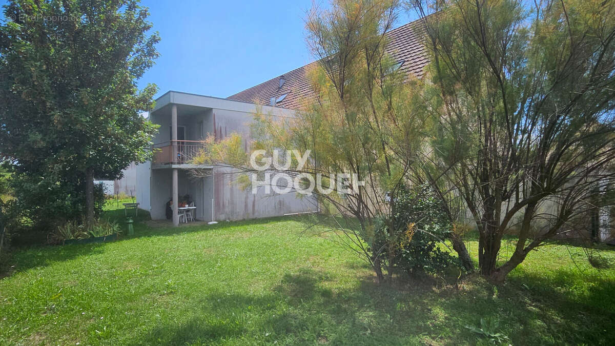 Appartement à WITTELSHEIM