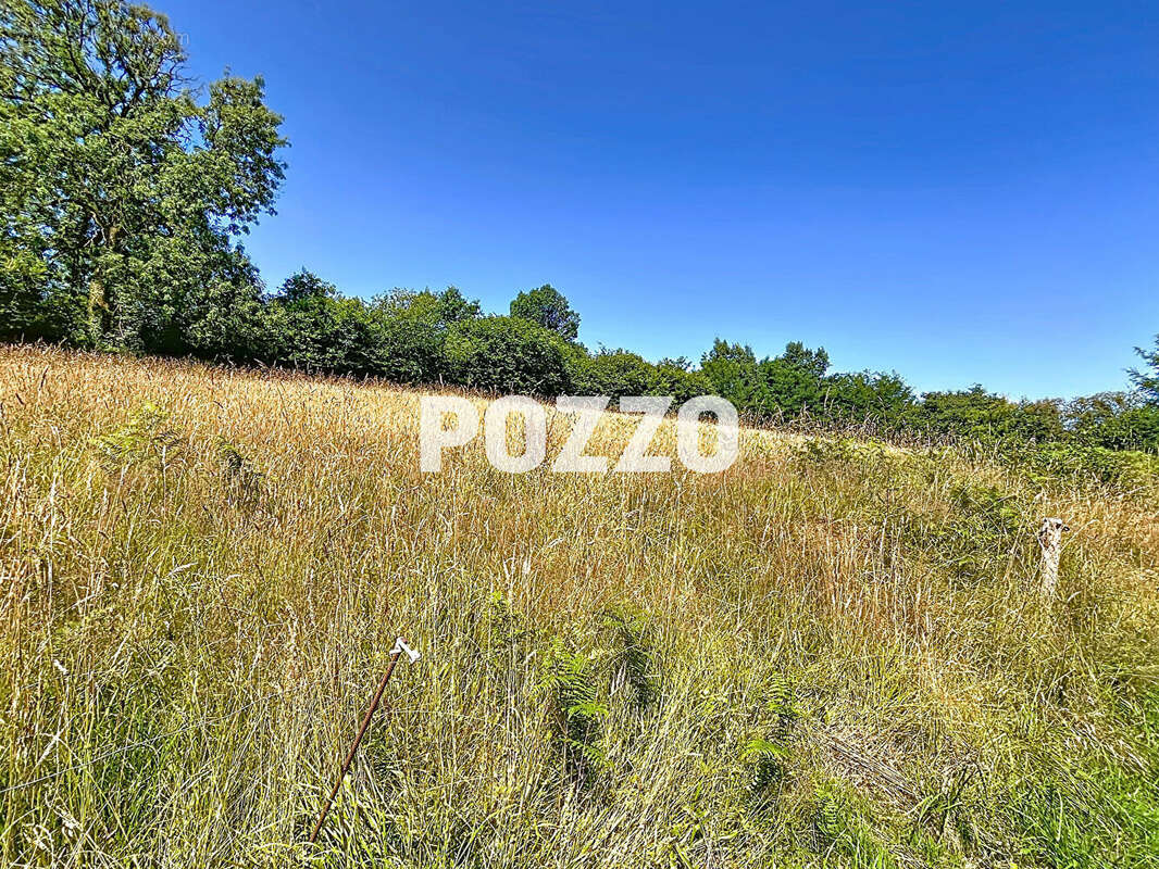 Terrain à VILLEDIEU-LES-POELES