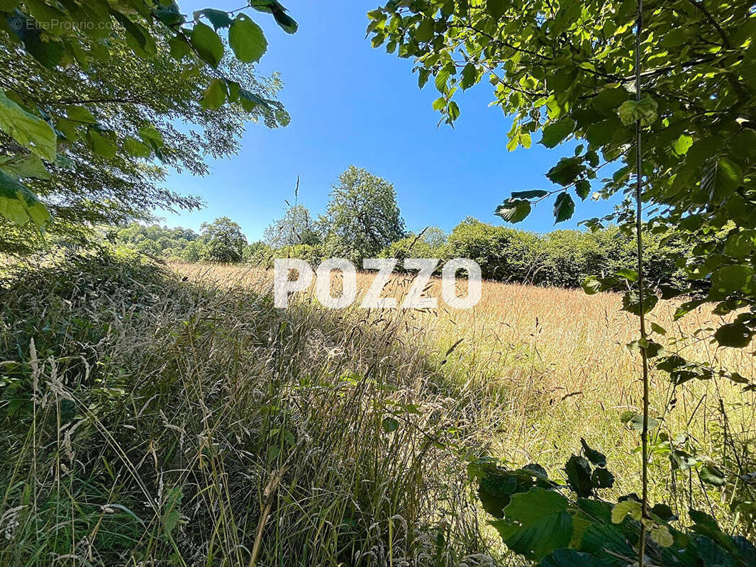 Terrain à VILLEDIEU-LES-POELES