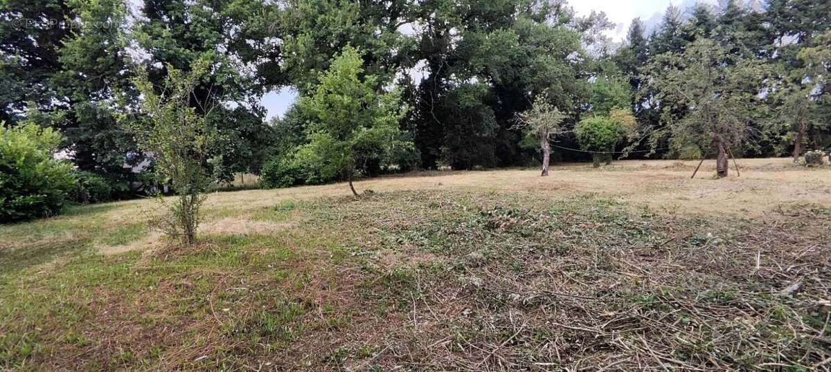 Photo 6 - Terrain à MONTROND-LES-BAINS