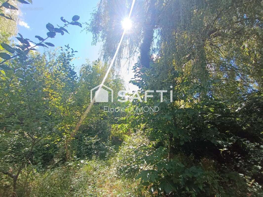 Photo 6 - Maison à SAINT-AMOUR