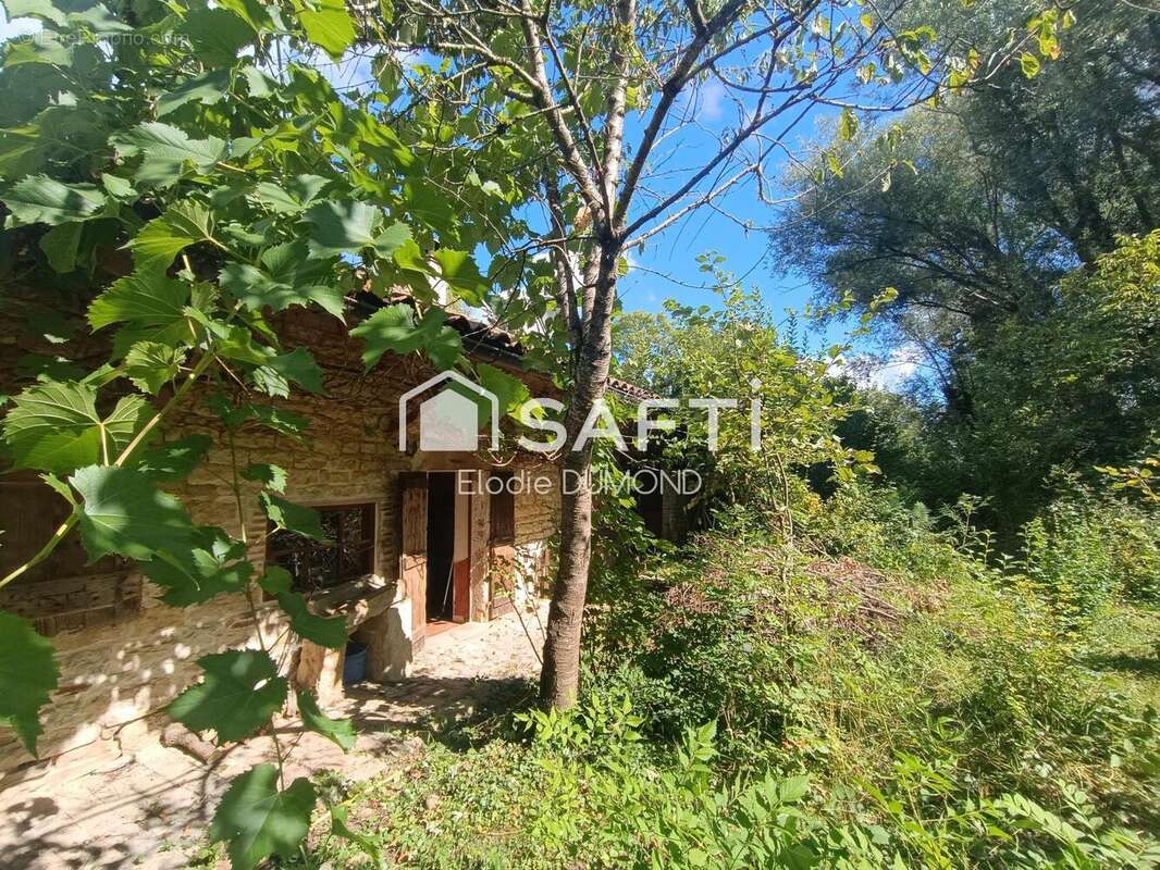 Photo 7 - Maison à SAINT-AMOUR