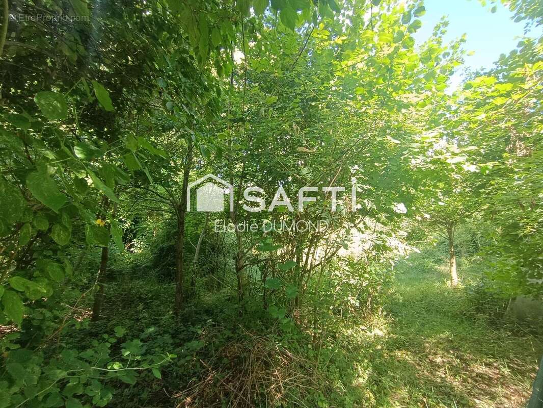 Photo 8 - Maison à SAINT-AMOUR