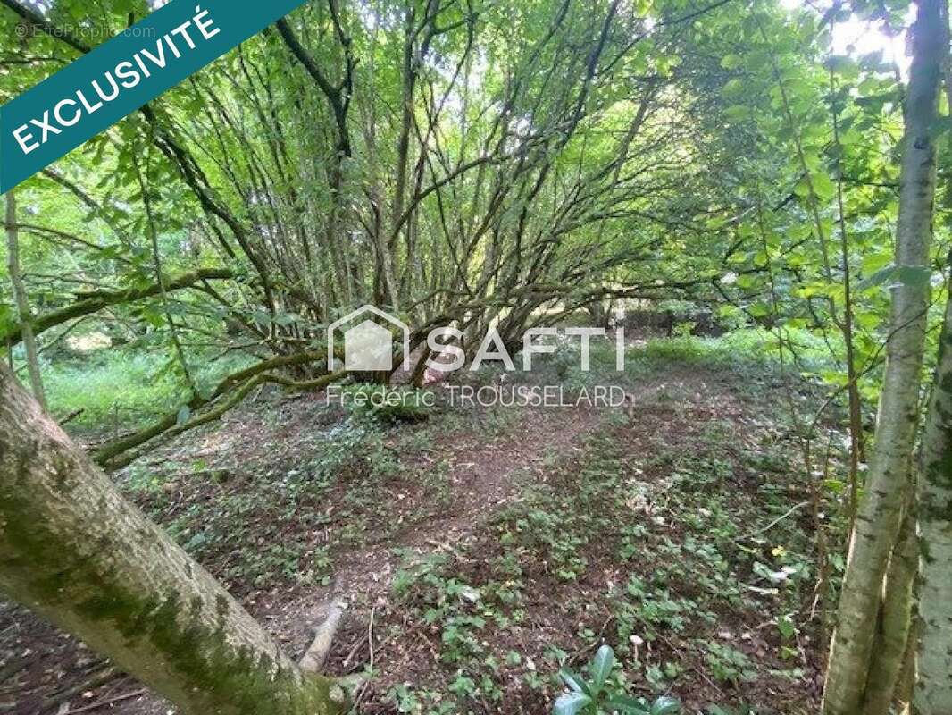 Photo 3 - Terrain à CLERMONT-EN-ARGONNE