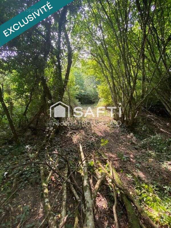 Photo 4 - Terrain à CLERMONT-EN-ARGONNE