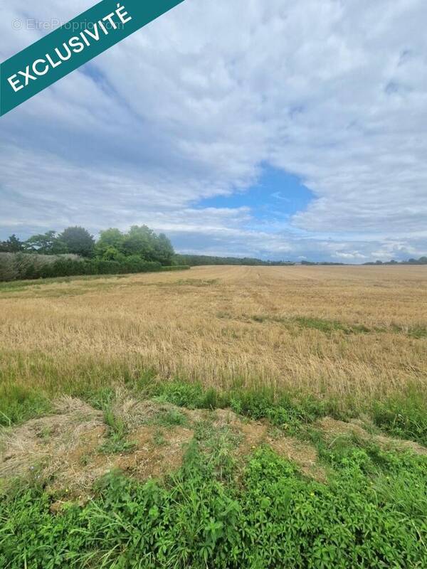 Photo 1 - Terrain à PIERREPONT