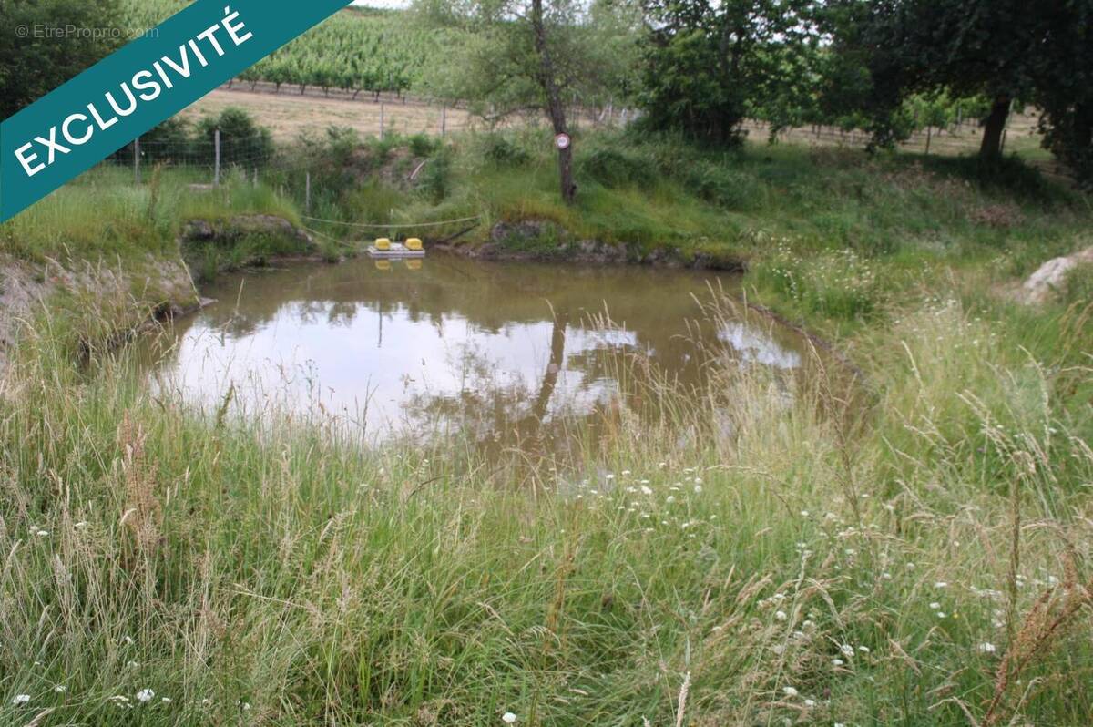 Photo 1 - Terrain à SAINT-PALAIS