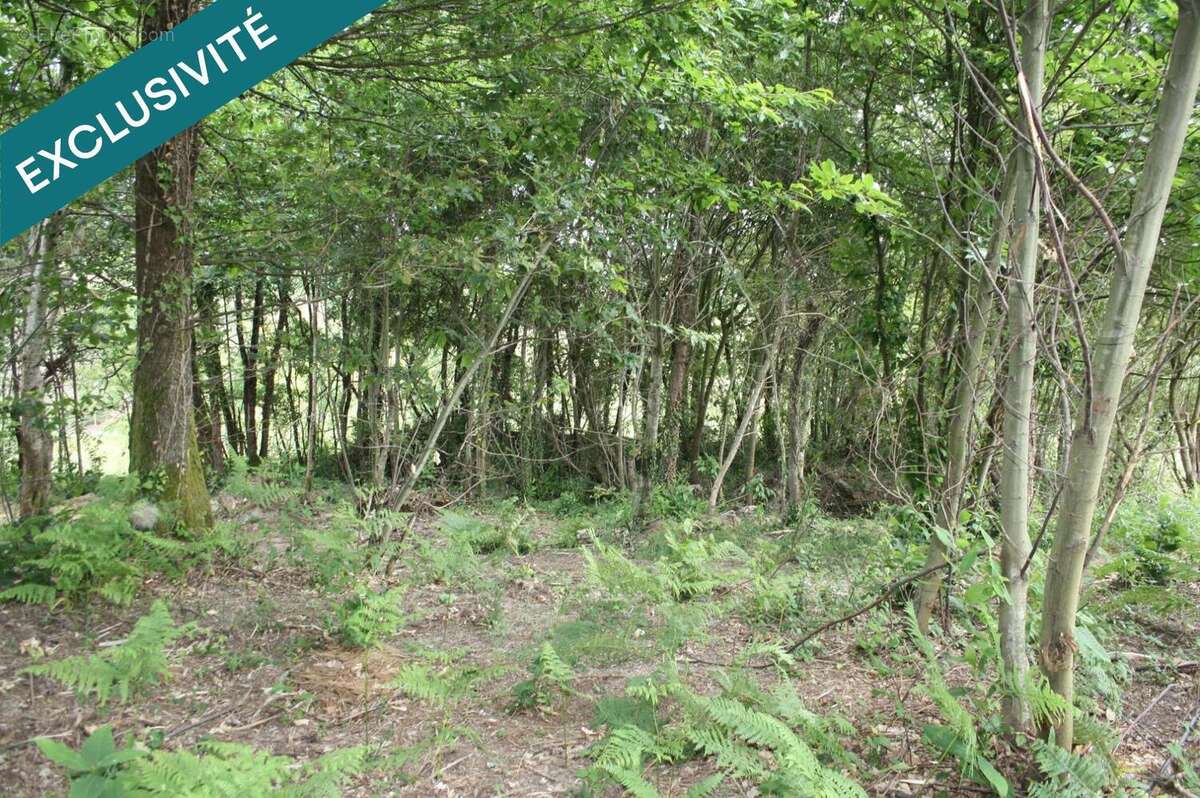 Photo 3 - Terrain à SAINT-PALAIS