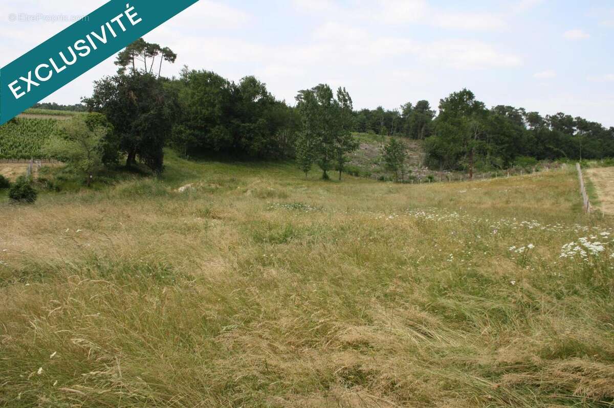 Photo 4 - Terrain à SAINT-PALAIS