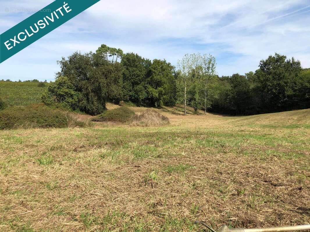 Photo 5 - Terrain à SAINT-PALAIS