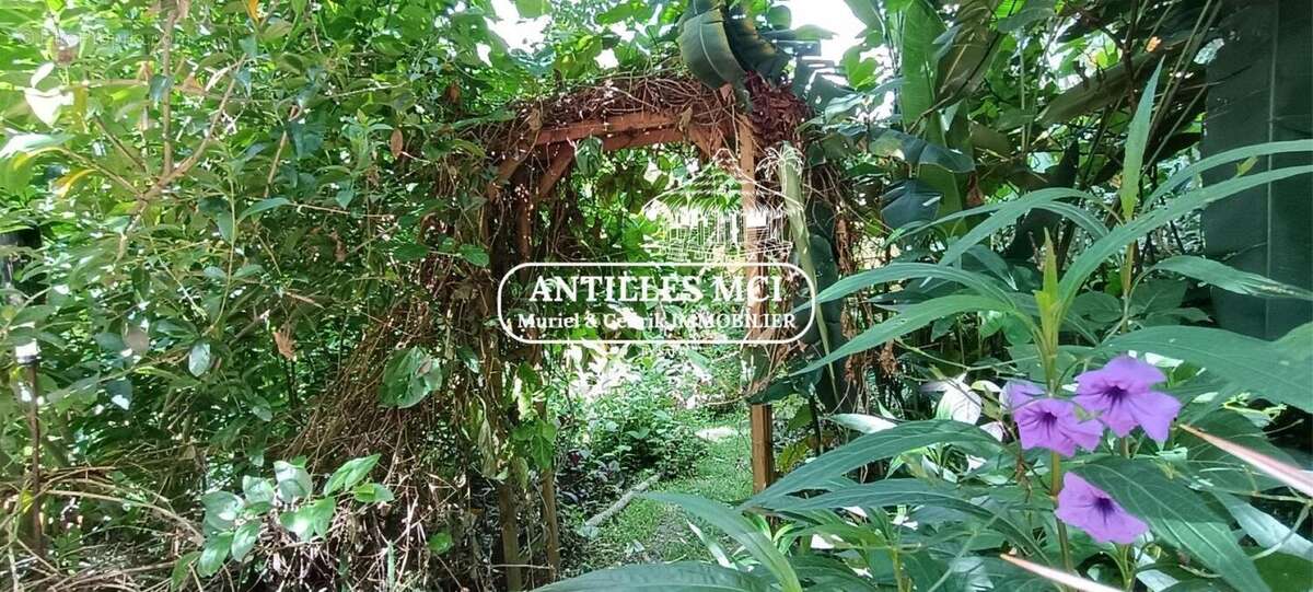 Photo 7 - Maison à FORT-DE-FRANCE