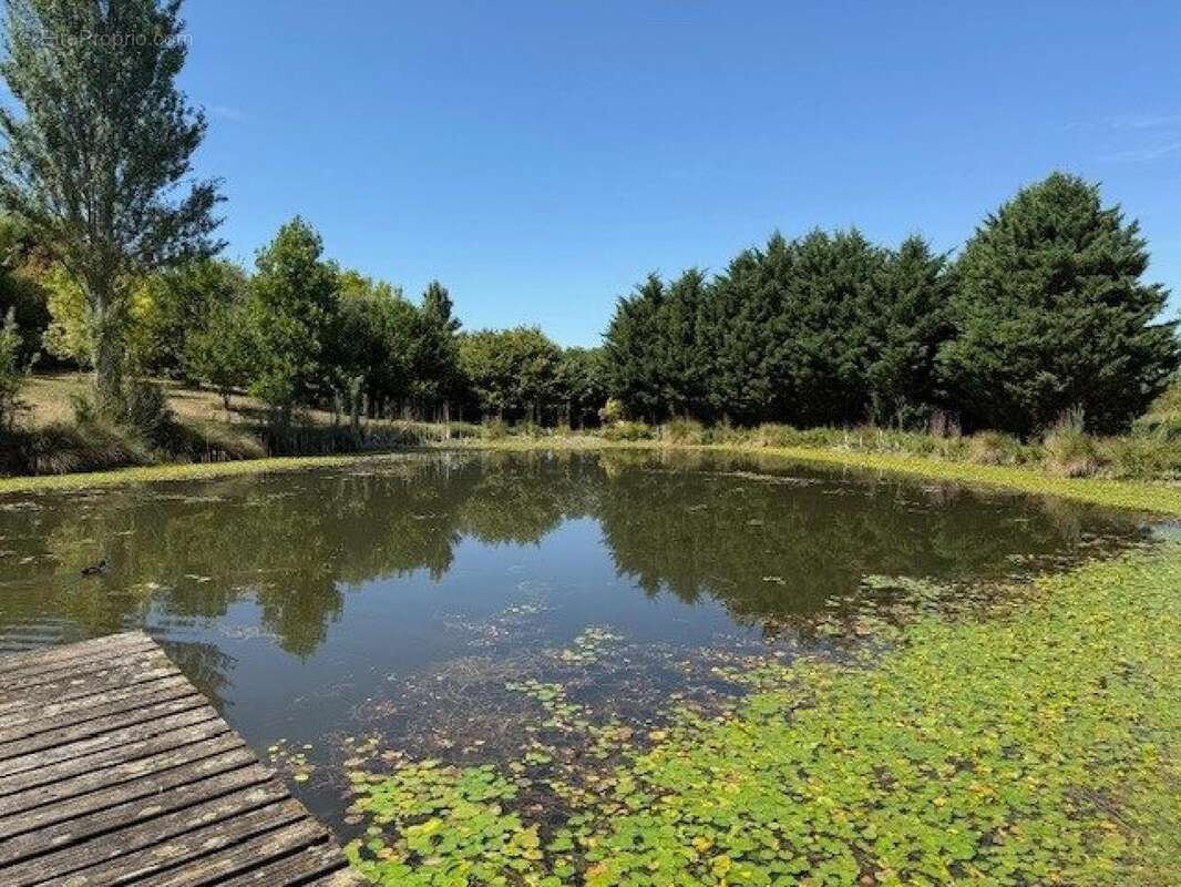 Photo 7 - Maison à MONFLANQUIN