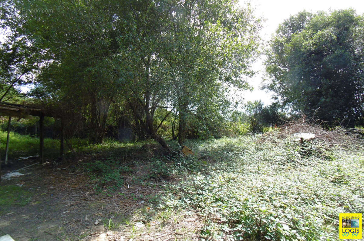 Maison à PORT-DE-LANNE