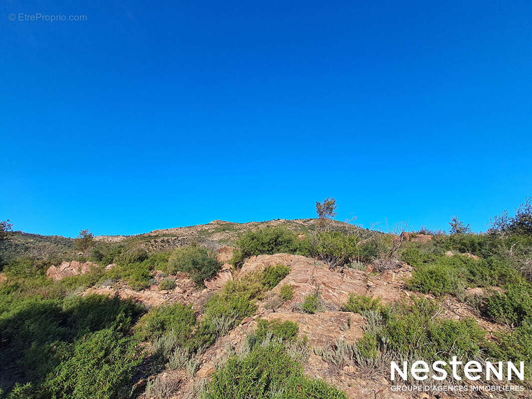 Terrain à LA GARDE-FREINET