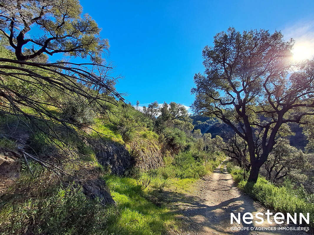 Terrain à LA GARDE-FREINET