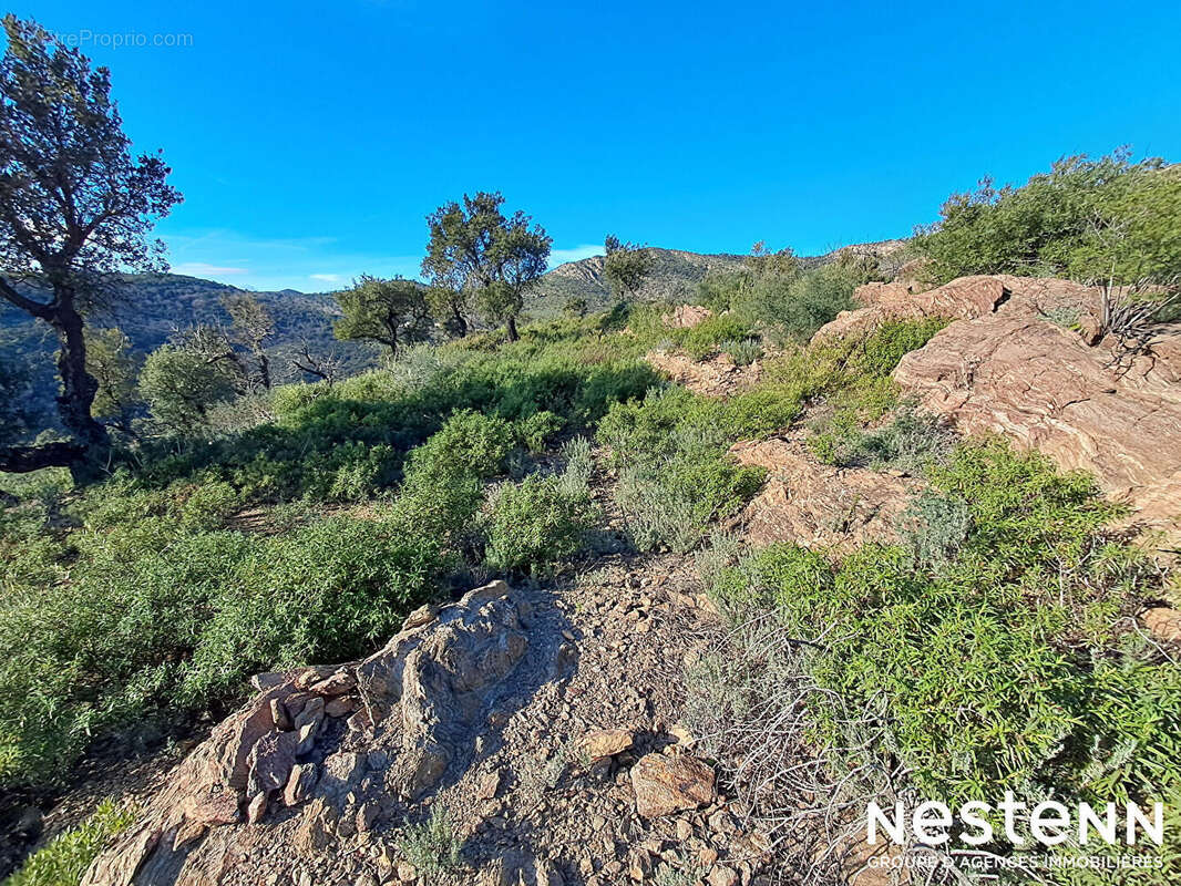 Terrain à LA GARDE-FREINET