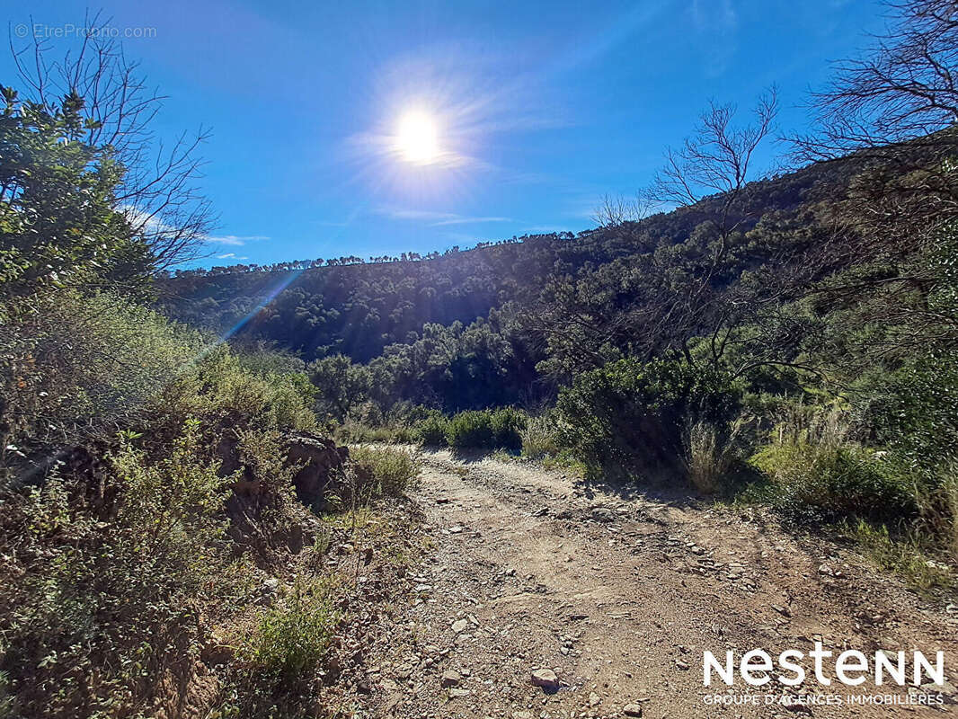 Terrain à LA GARDE-FREINET