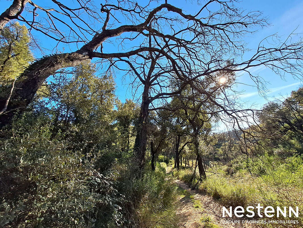 Terrain à LA GARDE-FREINET