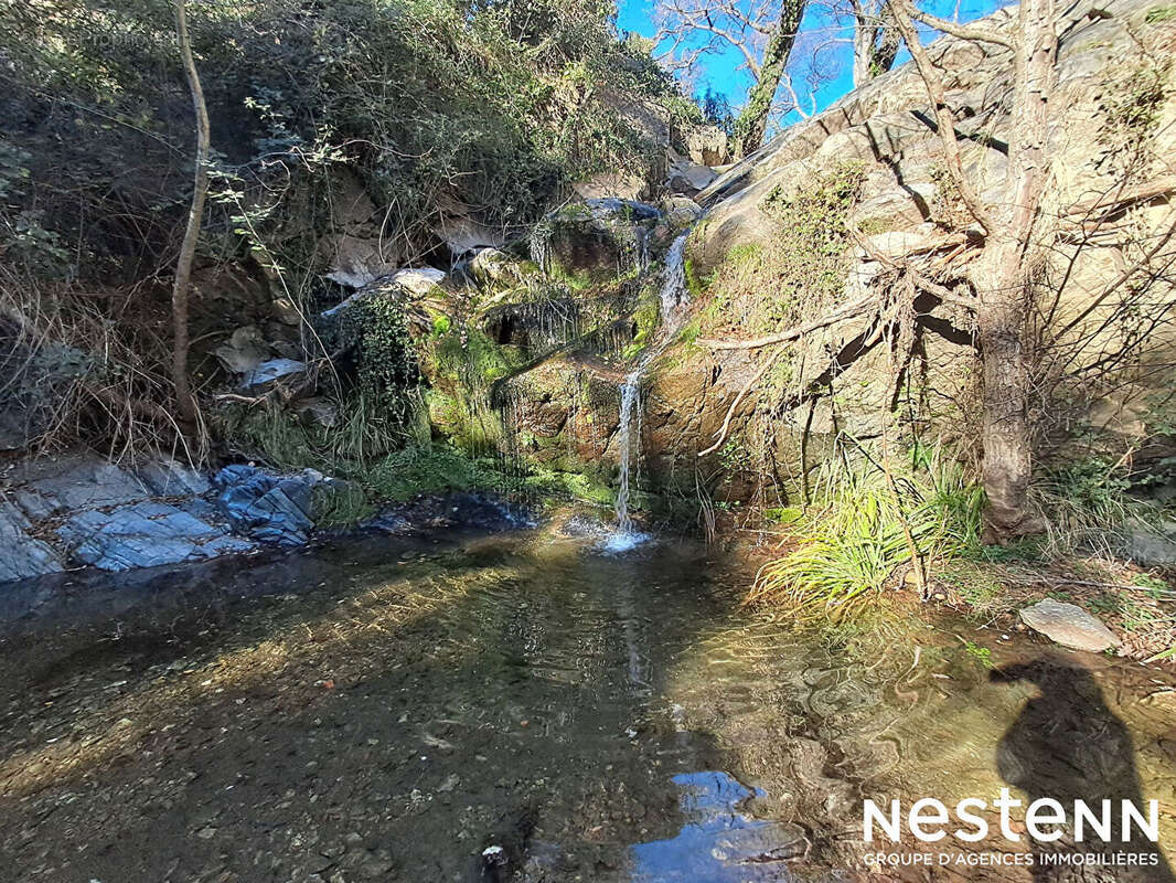 Terrain à LA GARDE-FREINET