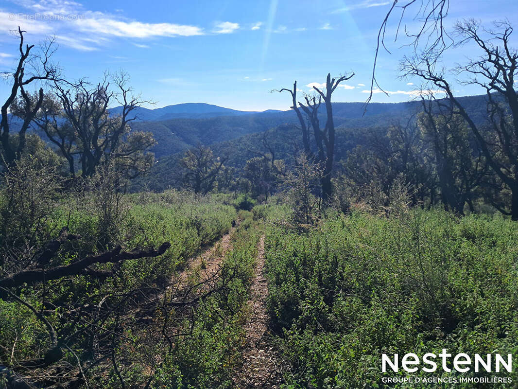 Terrain à LA GARDE-FREINET