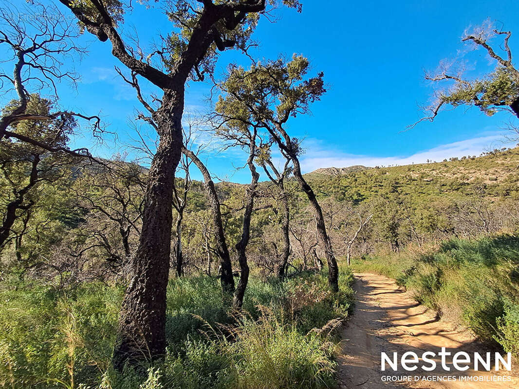 Terrain à LA GARDE-FREINET