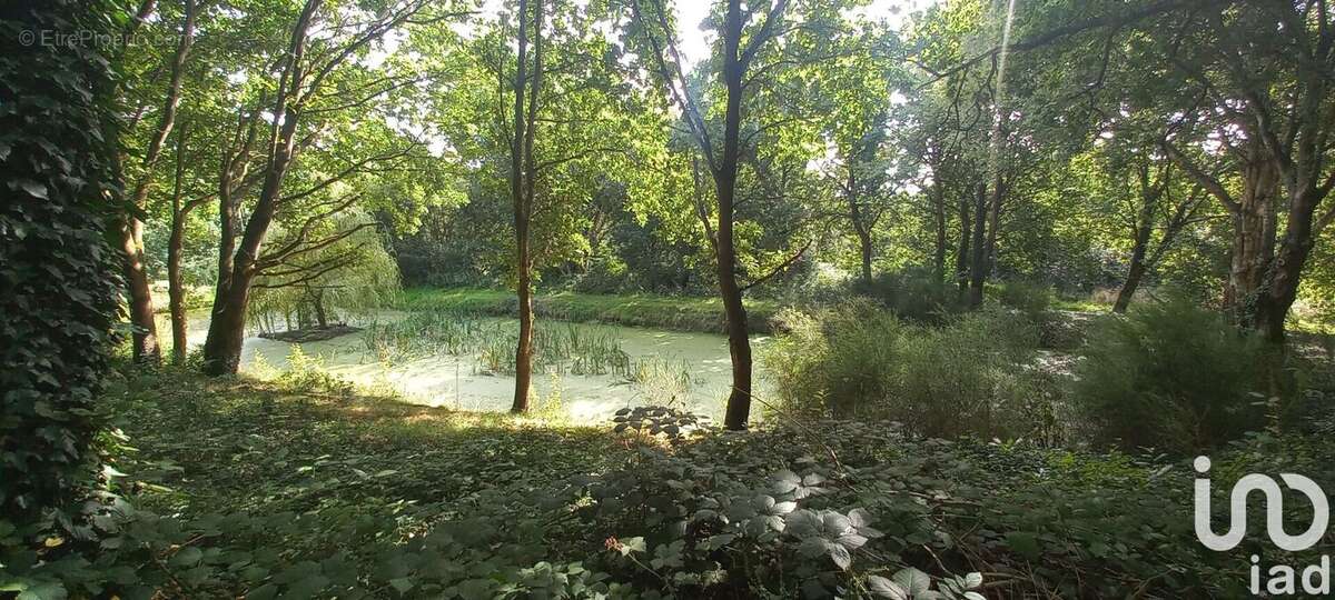 Photo 9 - Maison à NEUVILLE-FERRIERES