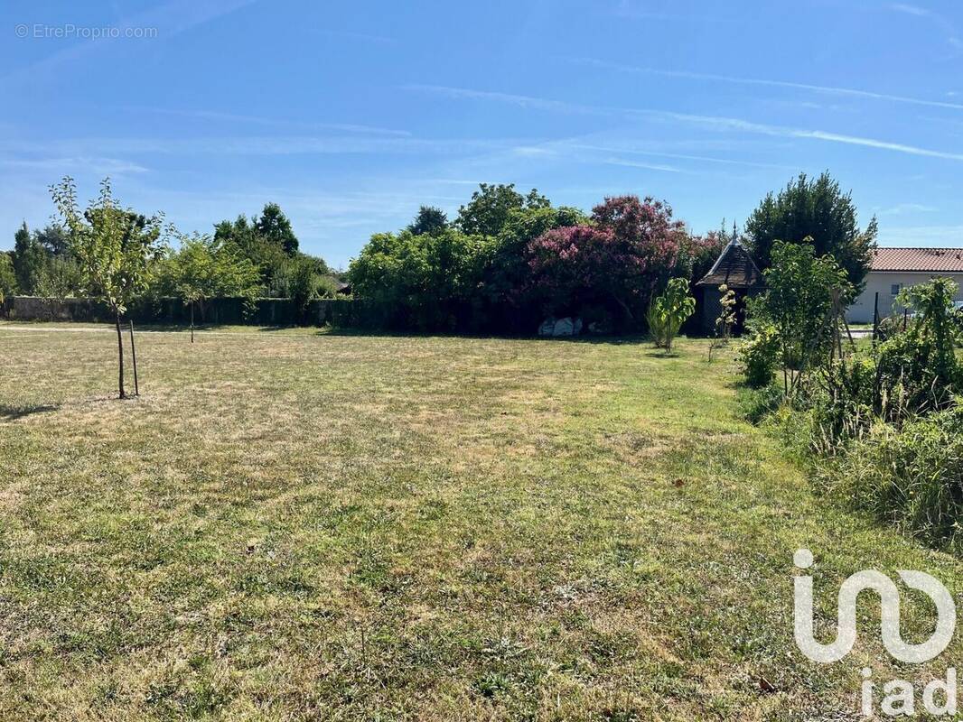 Photo 1 - Terrain à CASTETS-EN-DORTHE