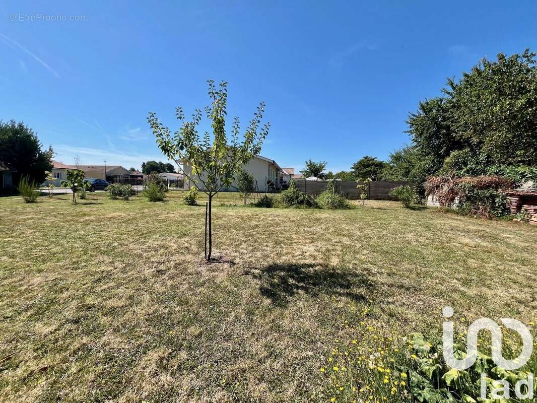 Photo 2 - Terrain à CASTETS-EN-DORTHE