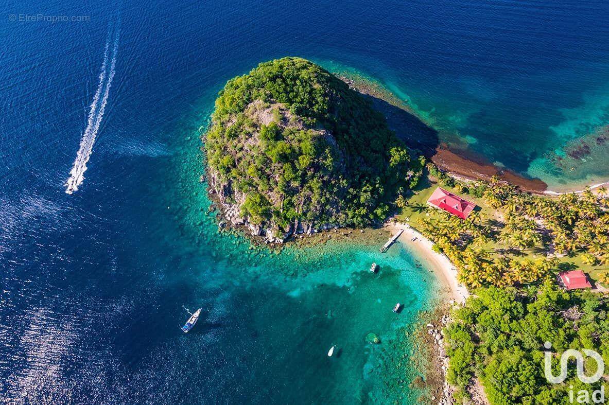 Photo 1 - Commerce à TERRE-DE-HAUT