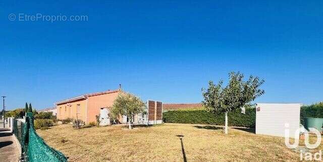 Photo 4 - Maison à MONTESQUIEU-VOLVESTRE